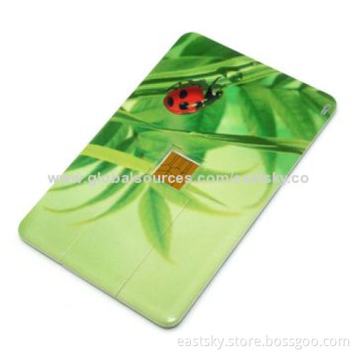 Pen Drive Personalized with Fast Transfer Rate and Low Power Consumption